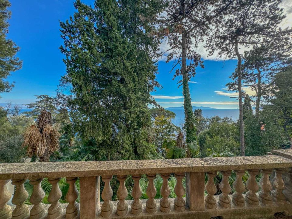 original_1707312945_dji_20240202_140728_447.jpg