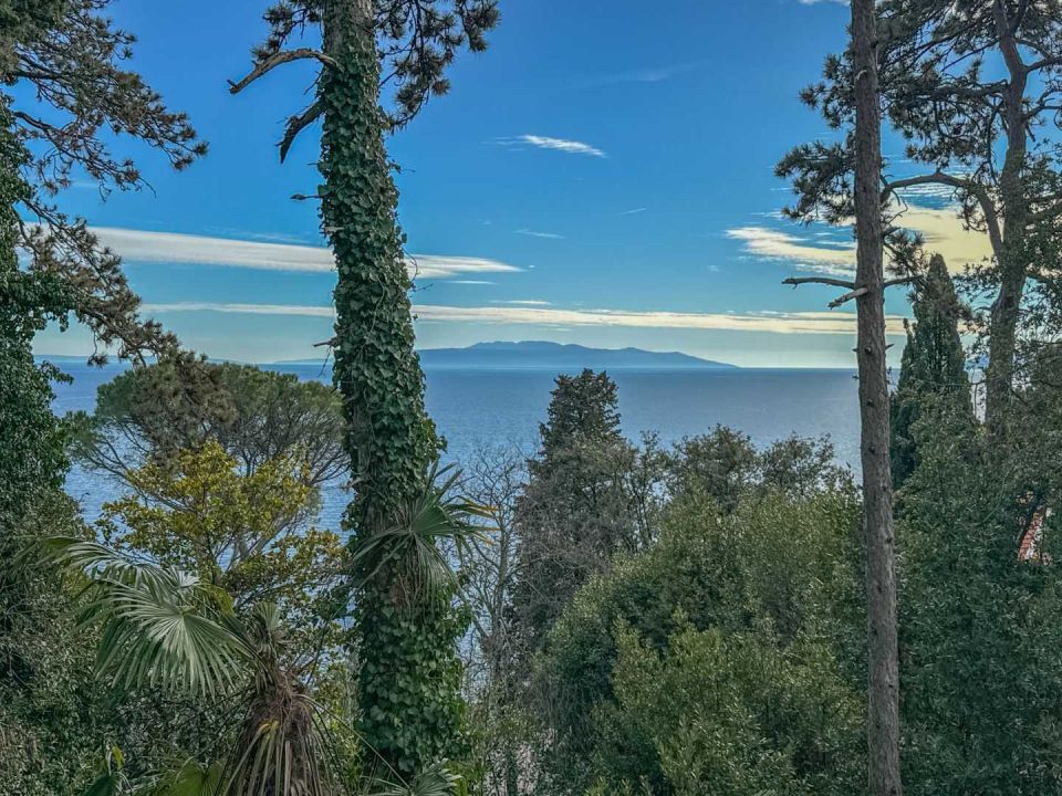 original_1707312969_dji_20240202_140757_893.jpg