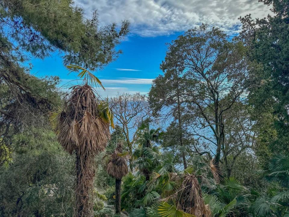 original_1707313125_dji_20240202_141238_410.jpg