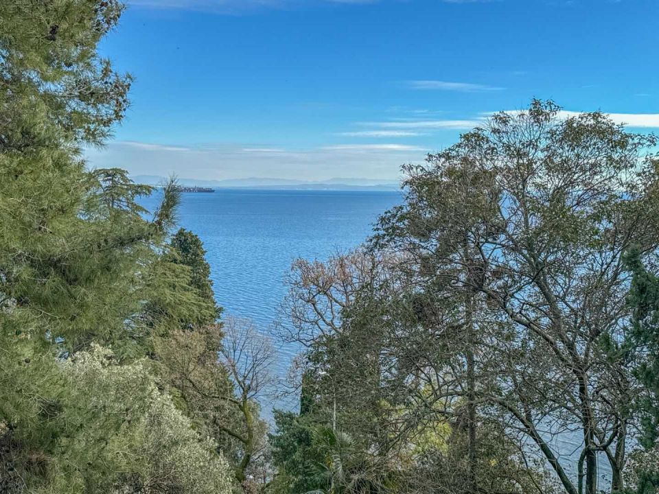 original_1707313215_dji_20240202_141527_000.jpg