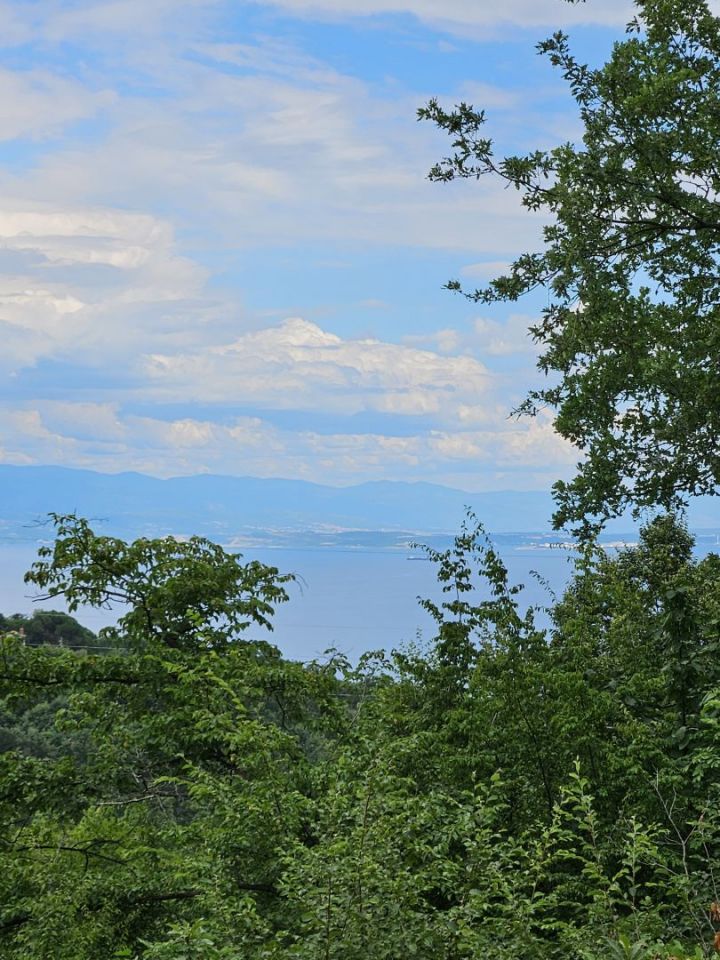 original_1720137965_1000100906.jpg