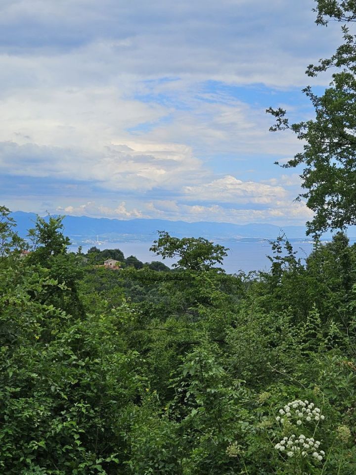 original_1720137971_1000100905.jpg