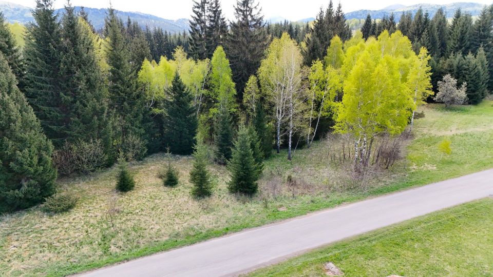 original_1713713023_dji_20240422122228_0059_d.jpg