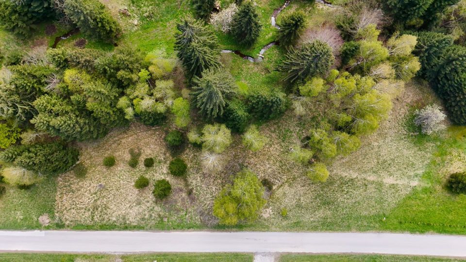 original_1713713081_dji_20240422122059_0055_d.jpg