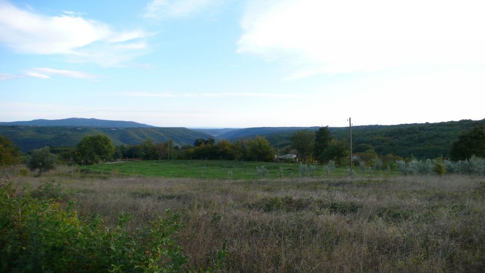 original_1639045572_sutivanac.jpg