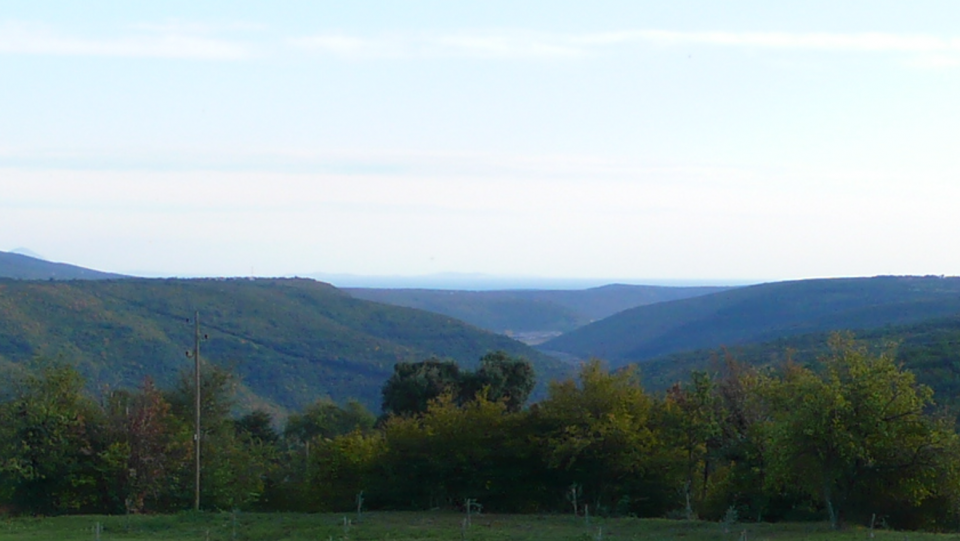 original_1639046129_2021-12-09-2.png