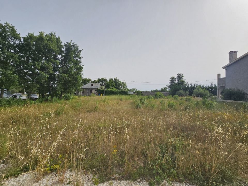 original_1719595440_1000035069.jpg