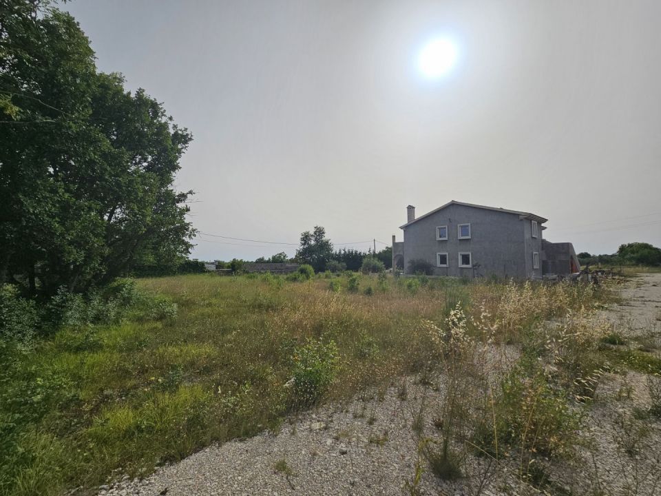 original_1719595477_1000035070.jpg