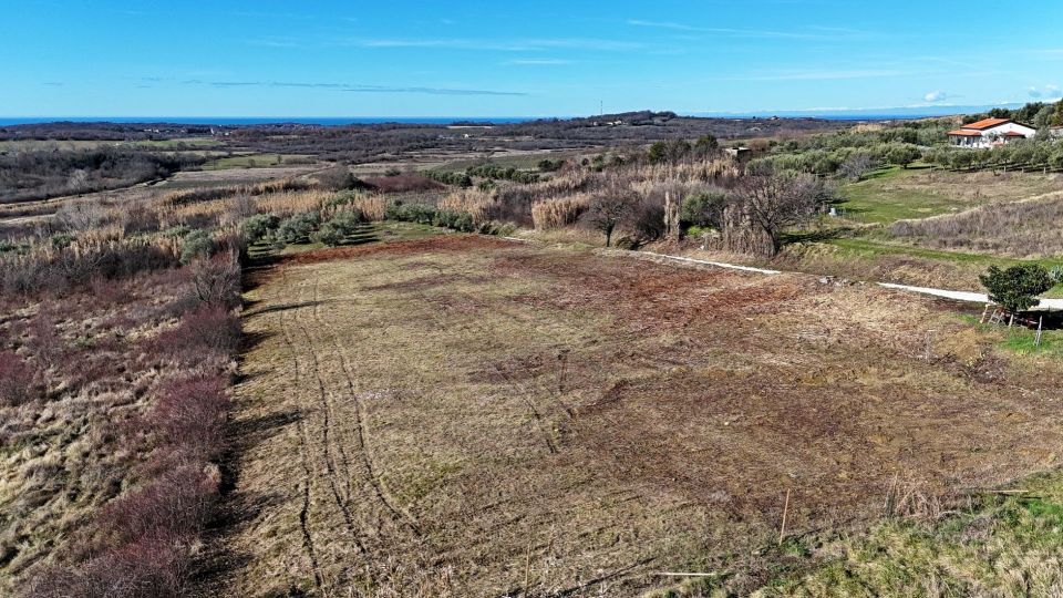 original_1707912817_istra-buje-gradevinsko-zemljiste-prodaja-6.jpg