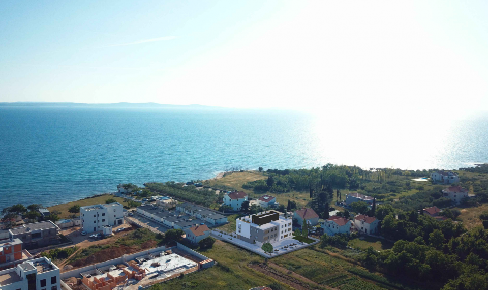 original_1721723688_snimka-zaslona-238.png