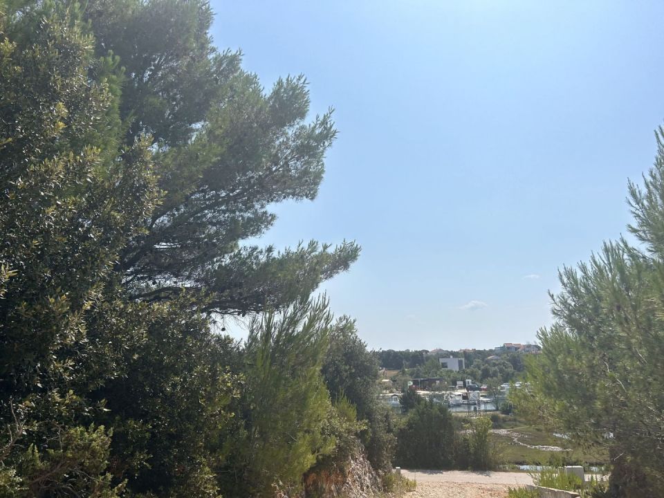 original_1721728705_img_8584.jpg