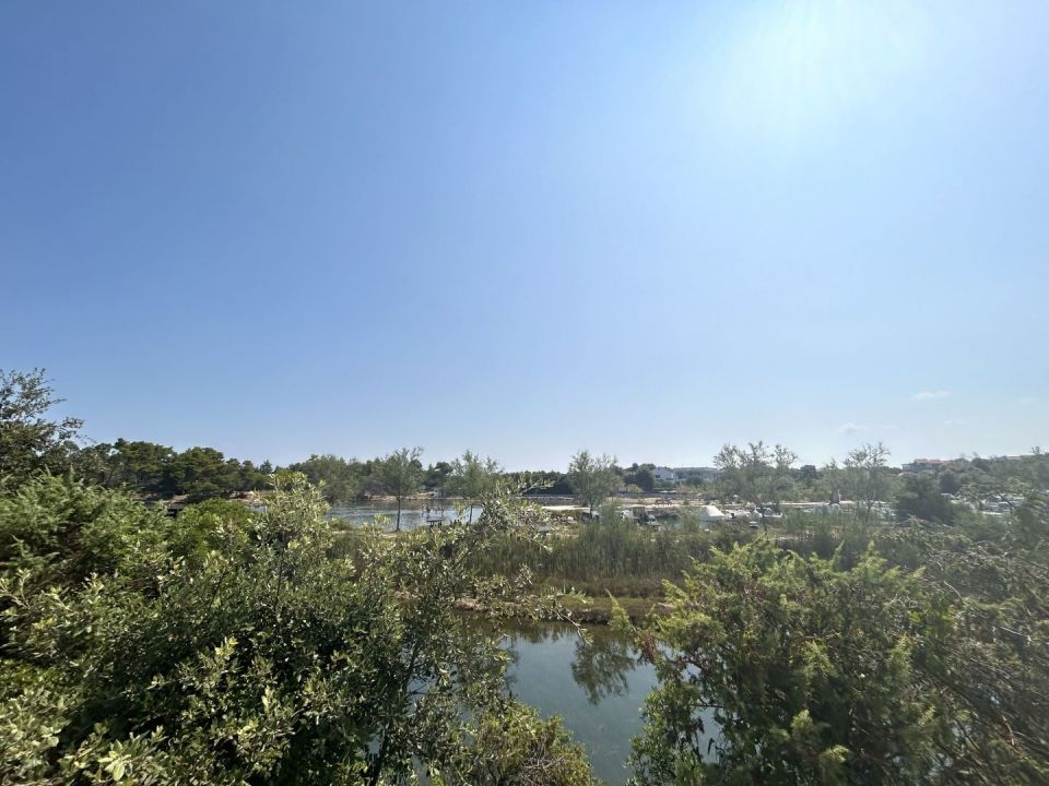 original_1721728803_img_8587.jpg