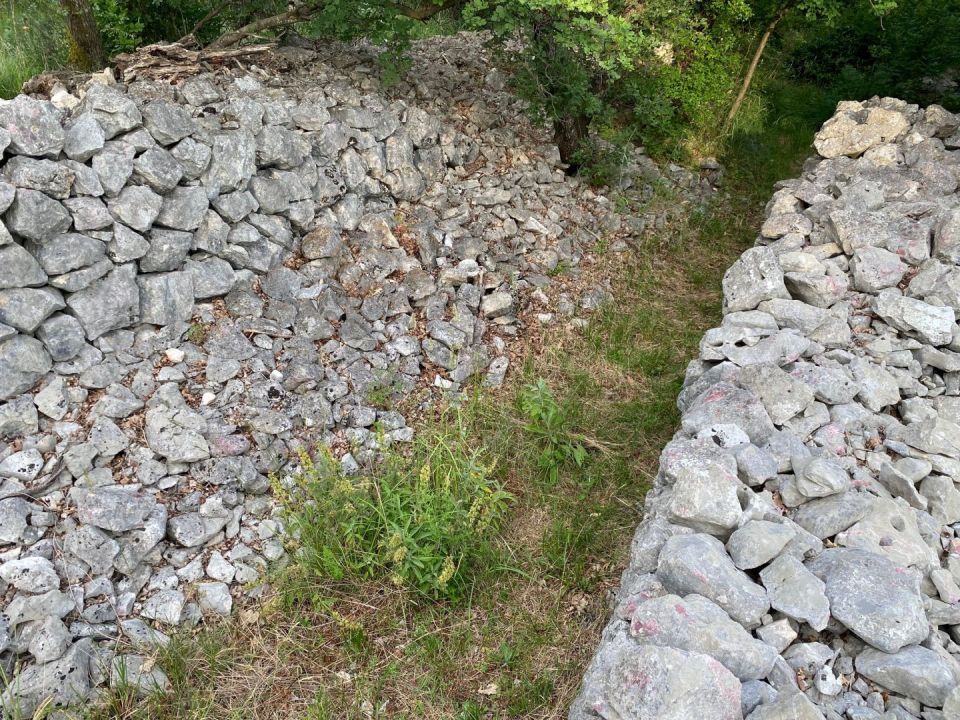 original_1717065072_img_6156.jpg
