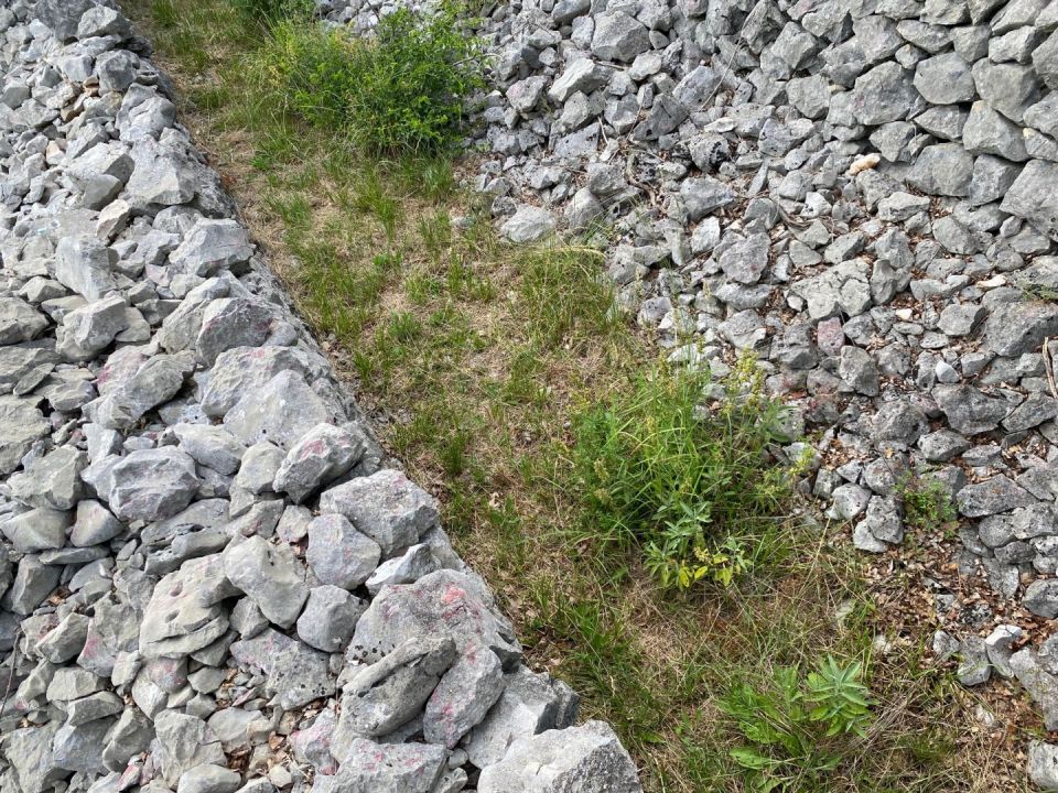 original_1717065075_img_6157.jpg