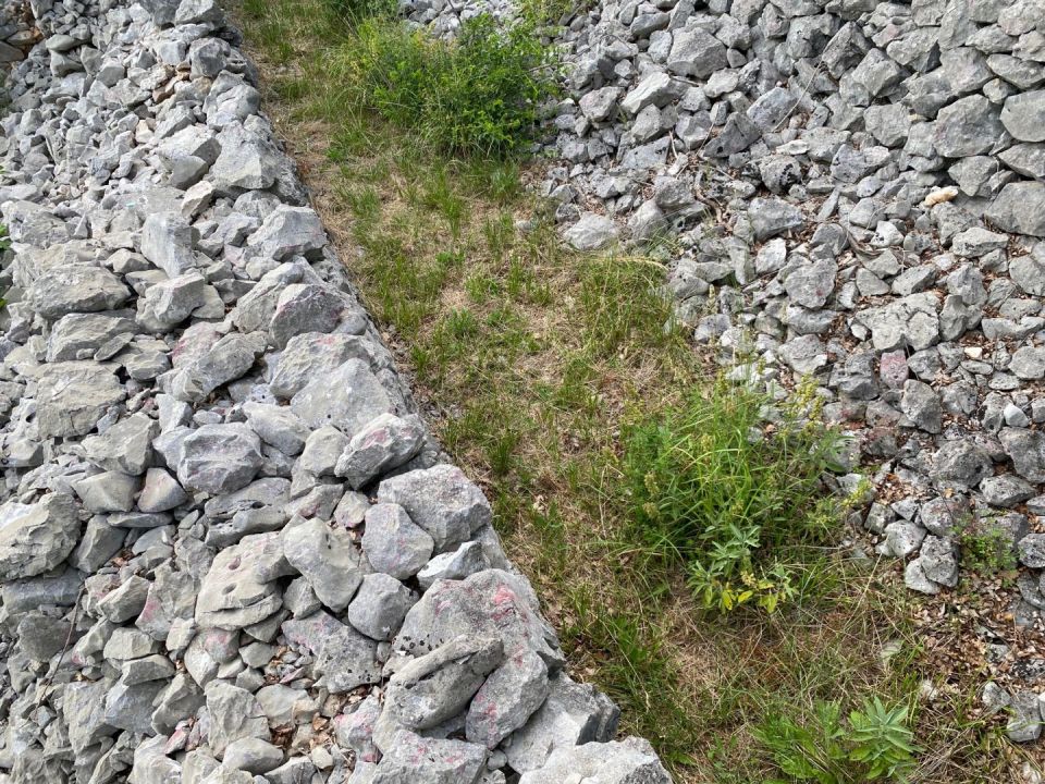 original_1717065078_img_6158.jpg