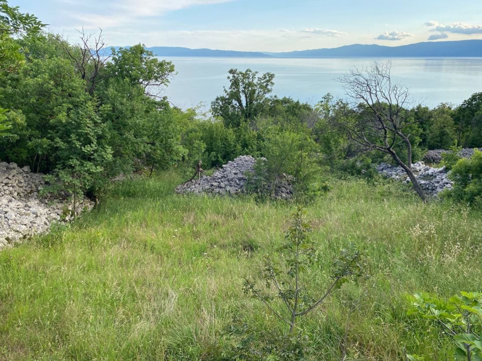original_1717065091_img_6160.jpg
