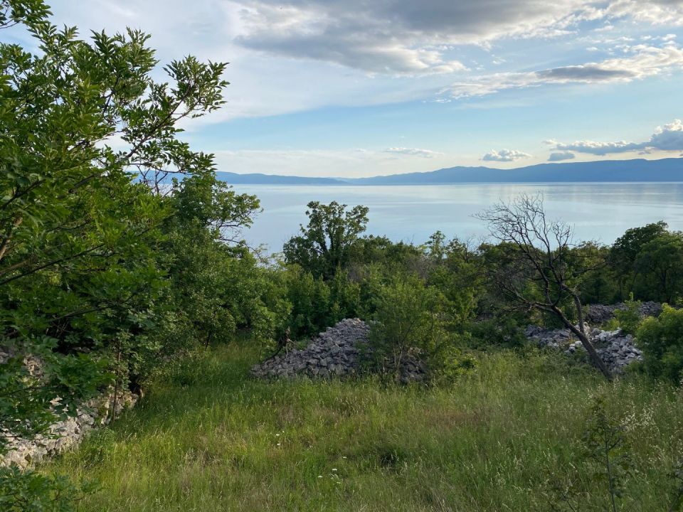 original_1717065101_img_6164.jpg