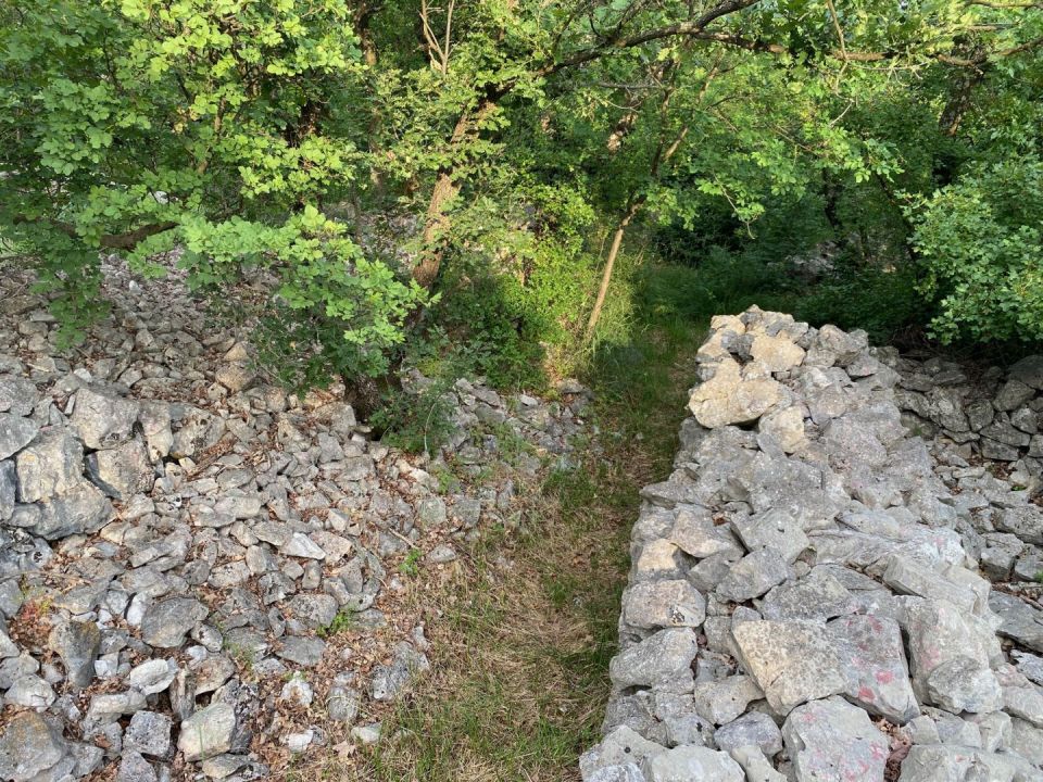 original_1717065114_img_6167.jpg