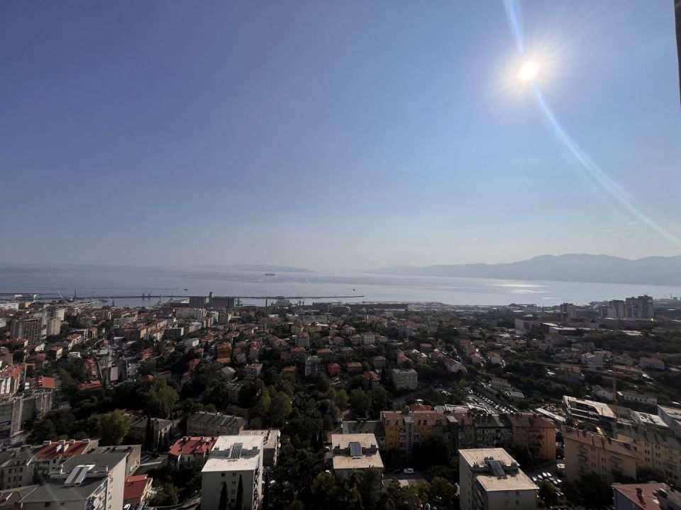 original_1725357917_img_0196.jpg