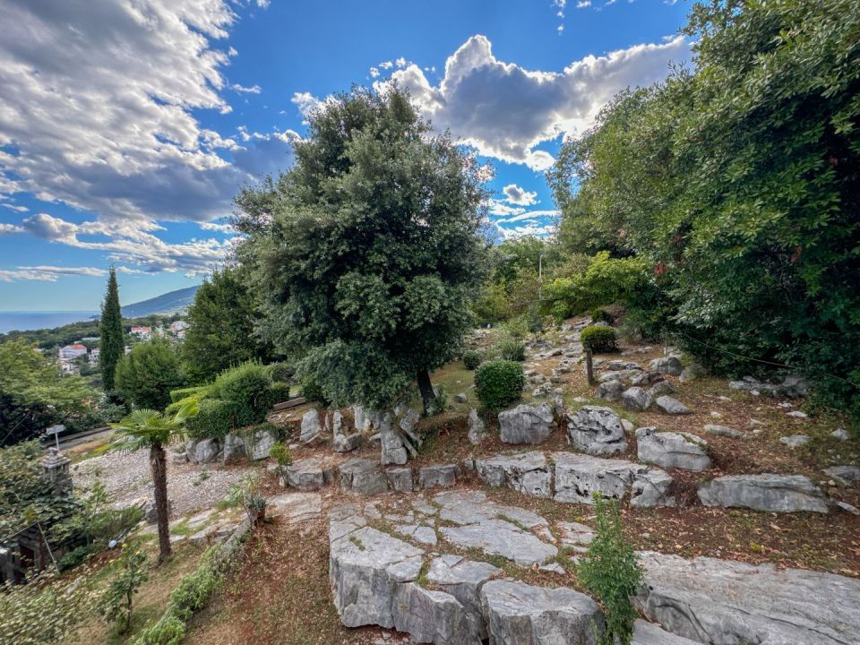 original_1726060535_dji_20240910_162333_940.jpg