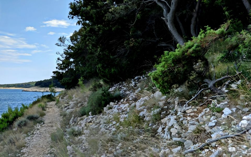 original_1726857080_croatia-istria-real-estate-for-sale-209.jpg
