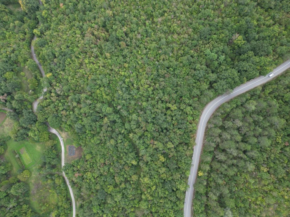 original_1727872062_dji_0182.jpg