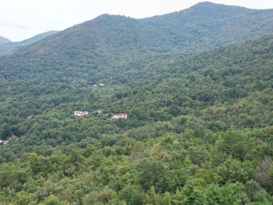 original_1727872182_dji_0161.jpg