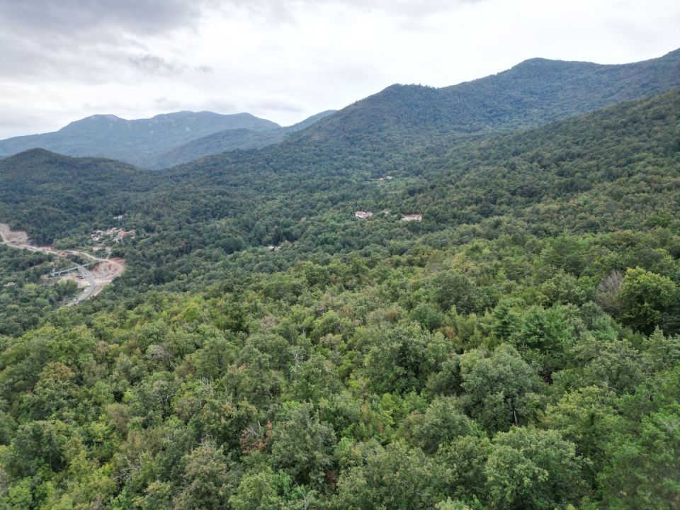 original_1727872455_dji_0147.jpg