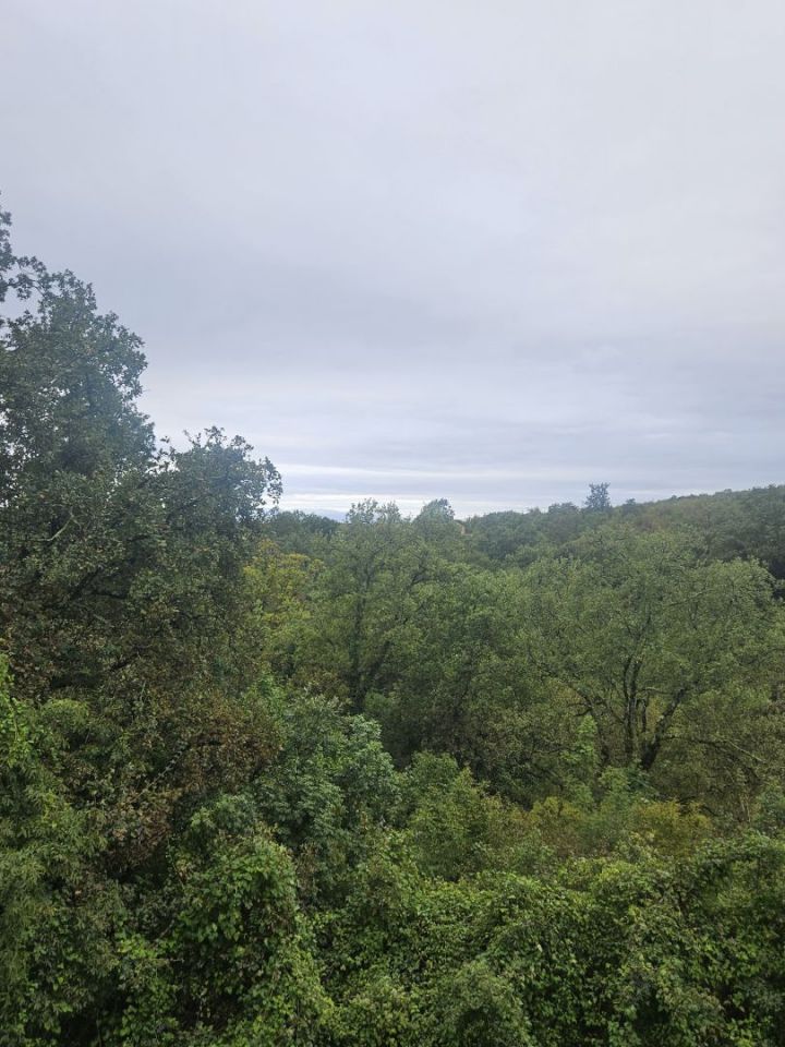 original_1728379612_1000116746.jpg