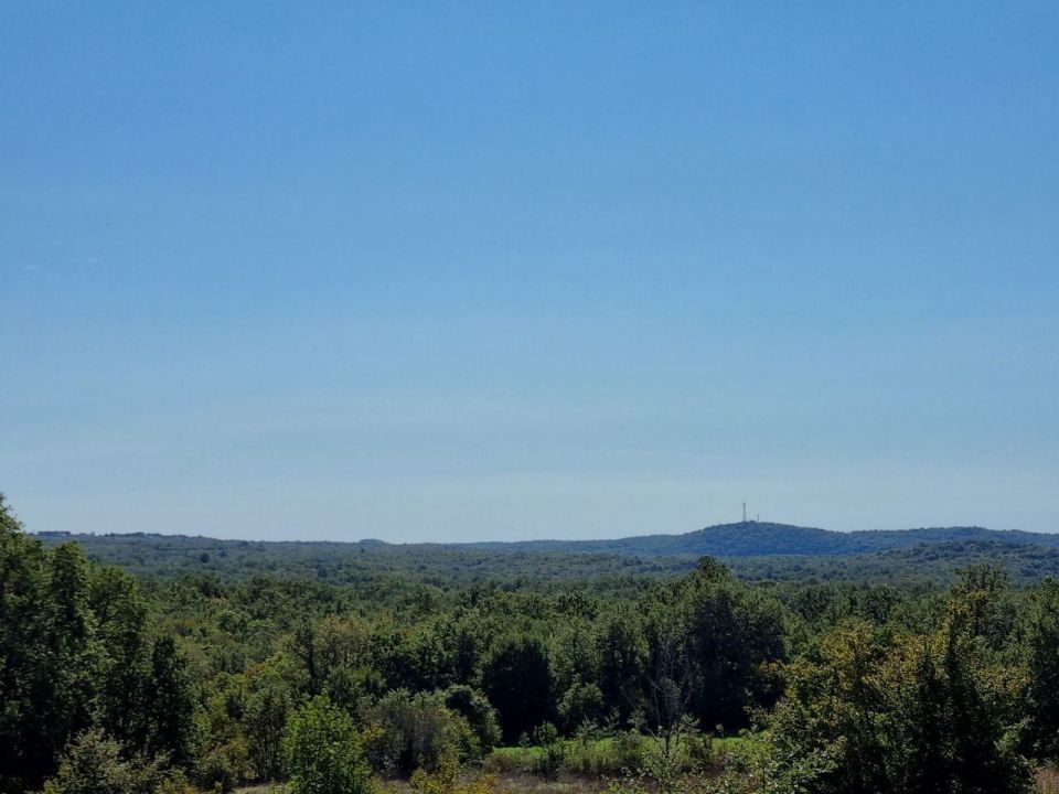 original_1727954752_8.jpg