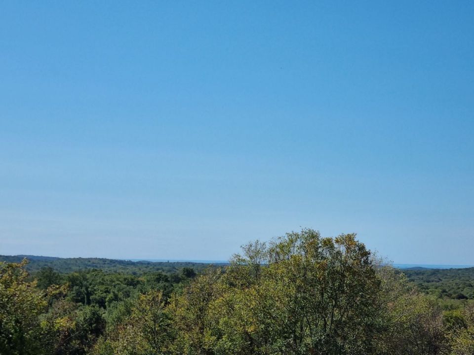 original_1727954792_25.jpg