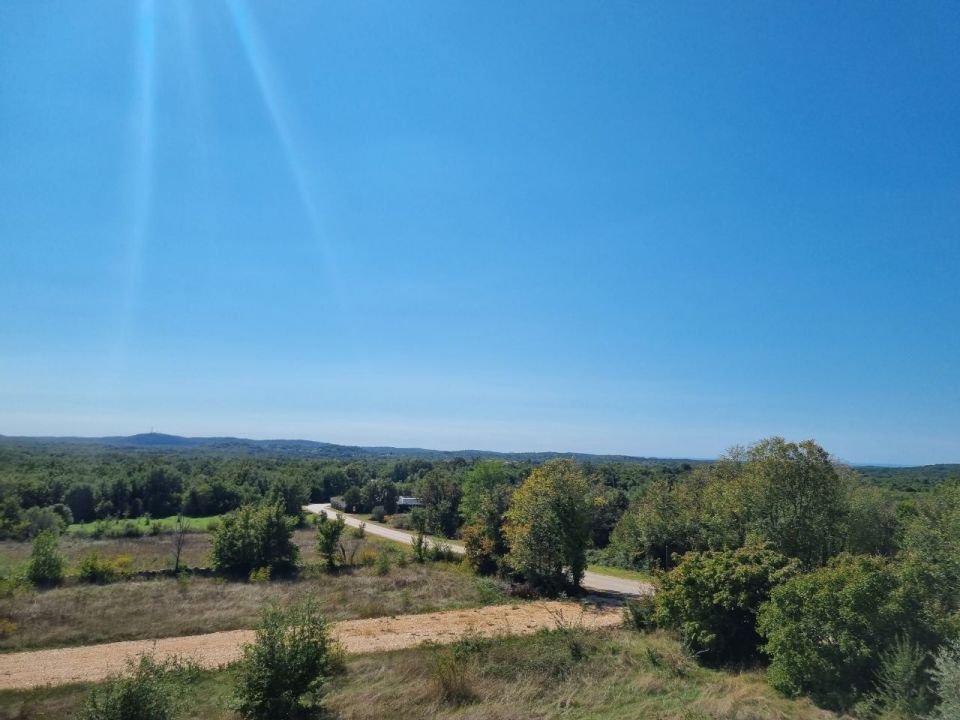 original_1727954796_27.jpg