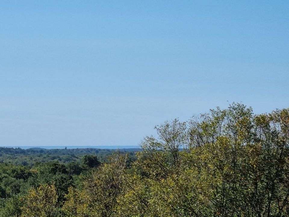 original_1727954798_28.jpg
