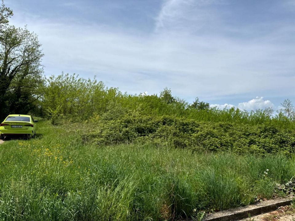 original_1745411187_1000012864.jpg