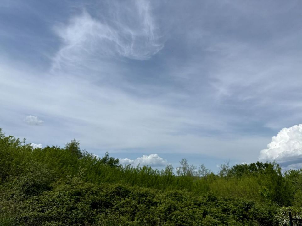 original_1745411190_1000012876.jpg