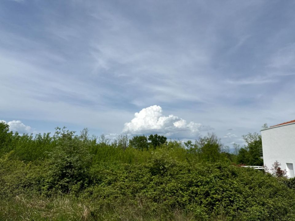 original_1745411200_1000012891.jpg