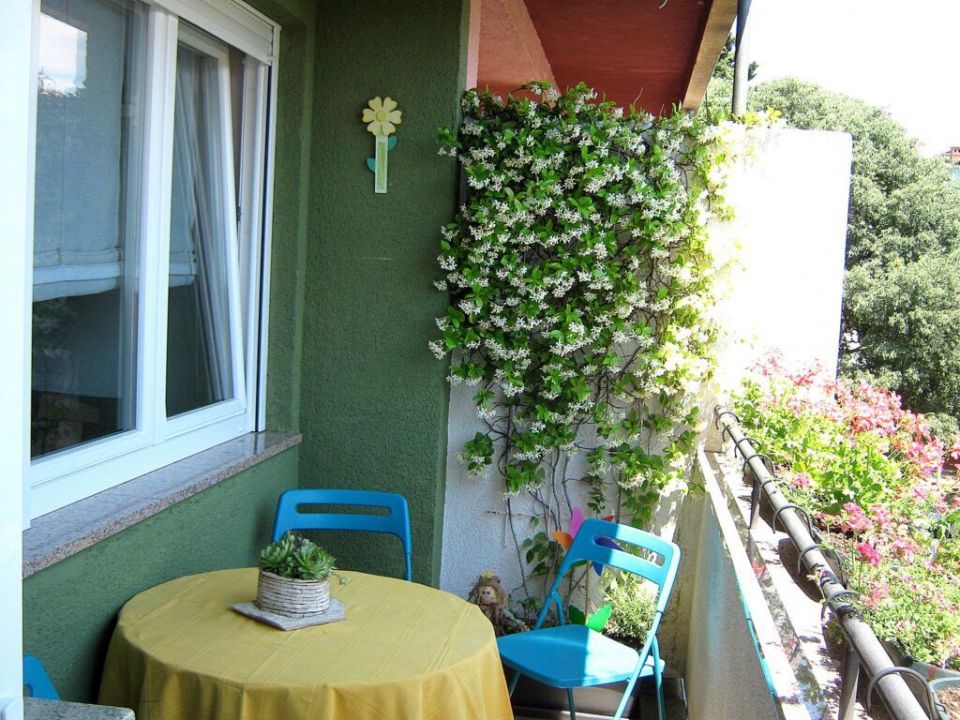 original_1686822399_bizjak5-1024x768.jpg