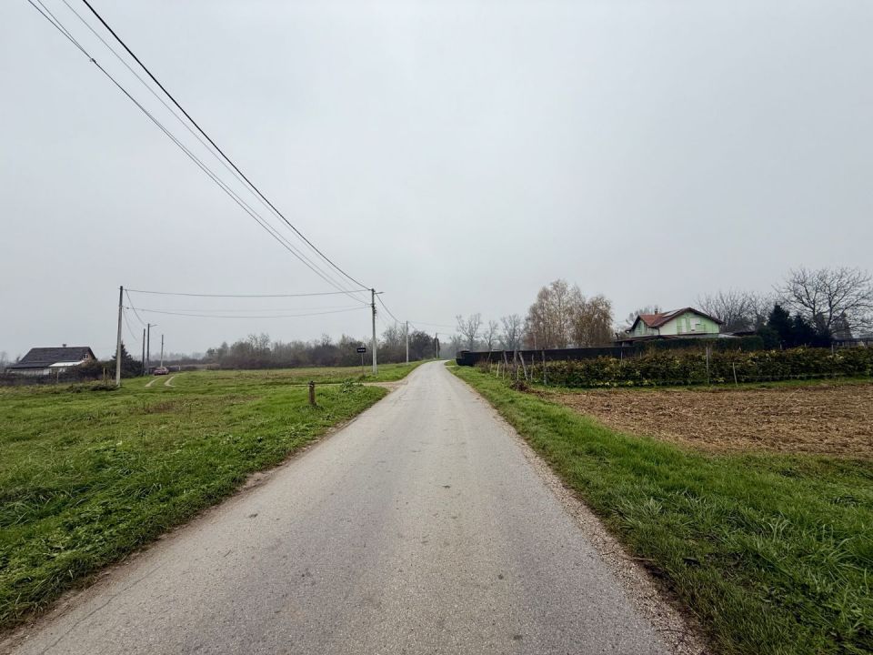 original_1732045437_img_2833.jpeg