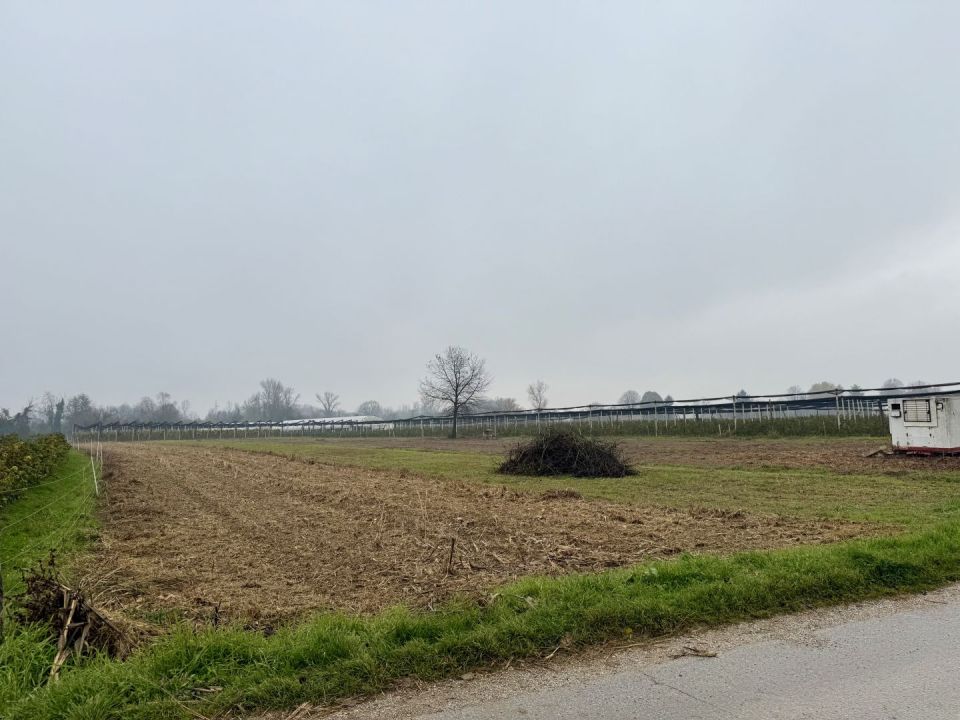 original_1732045443_img_2835.jpeg