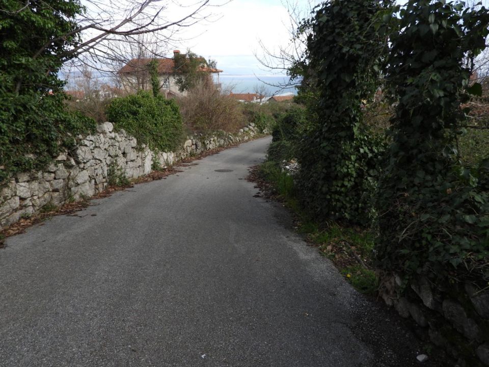 original_1583346592_dscn0432.jpg