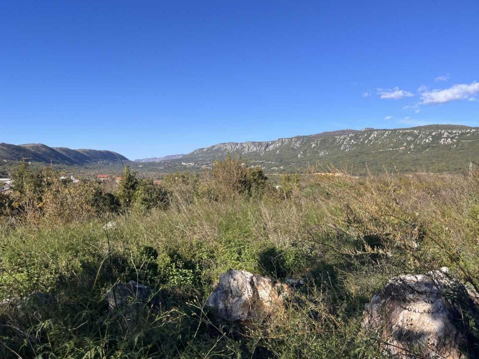 original_1730808792_img_2389.jpeg