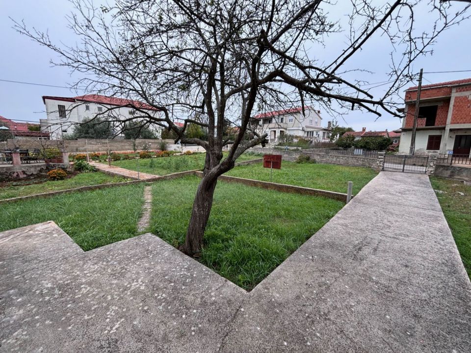 original_1731668302_img_3497.jpg