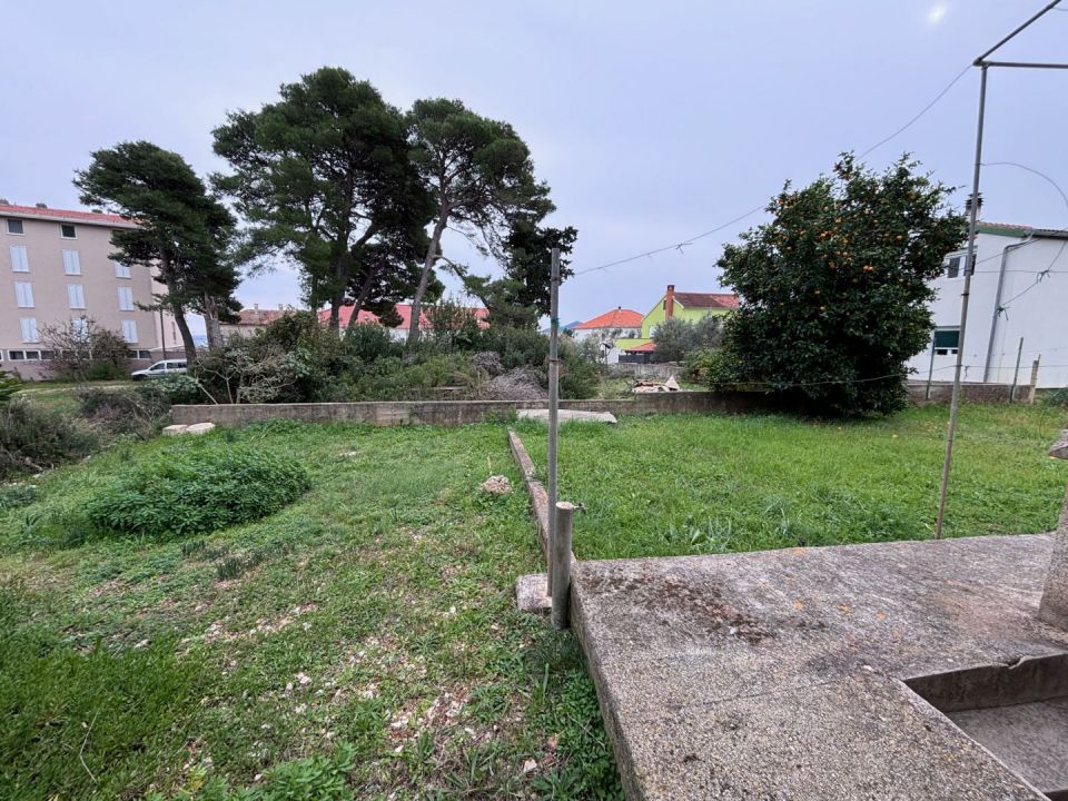 original_1731668316_img_3500.jpg