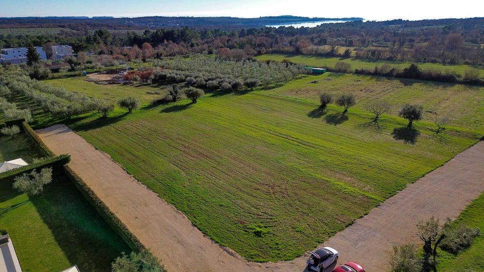 original_1744889662_dji_0381.jpg