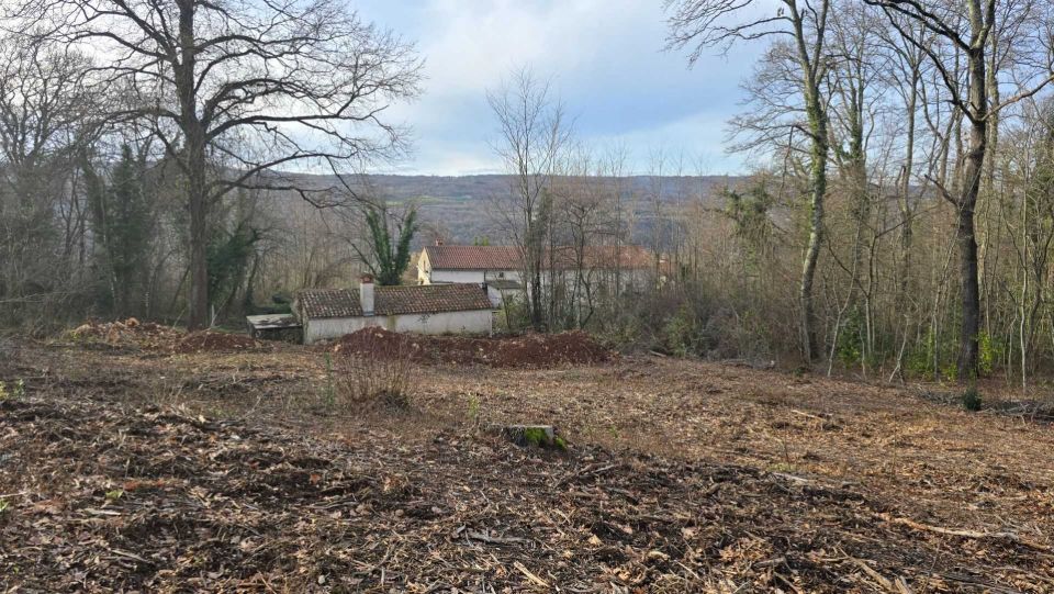 original_1738624293_croatia-istria-real-estate-for-sale-404.jpg