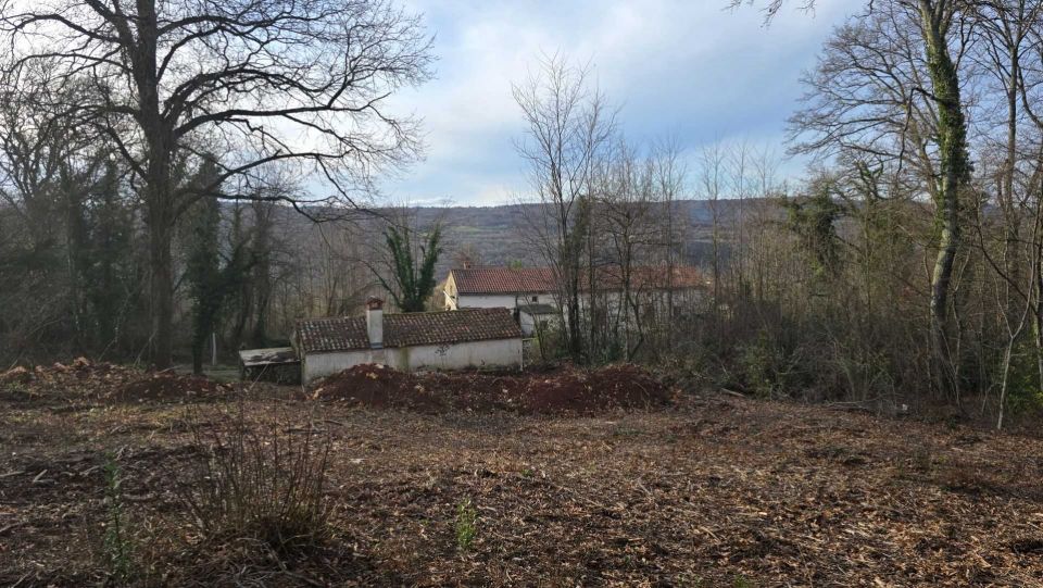 original_1738624417_croatia-istria-real-estate-for-sale-415.jpg