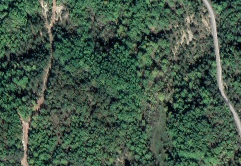 original_1740734684_suma-cerovlje.jpg