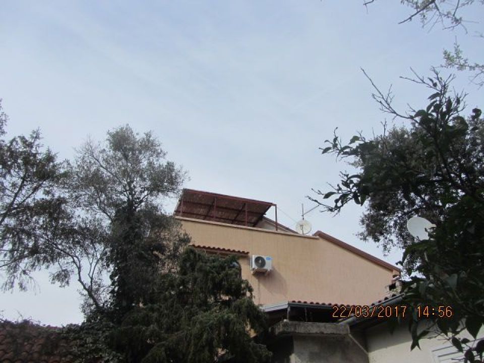 original_1741783331_img_1742.jpg