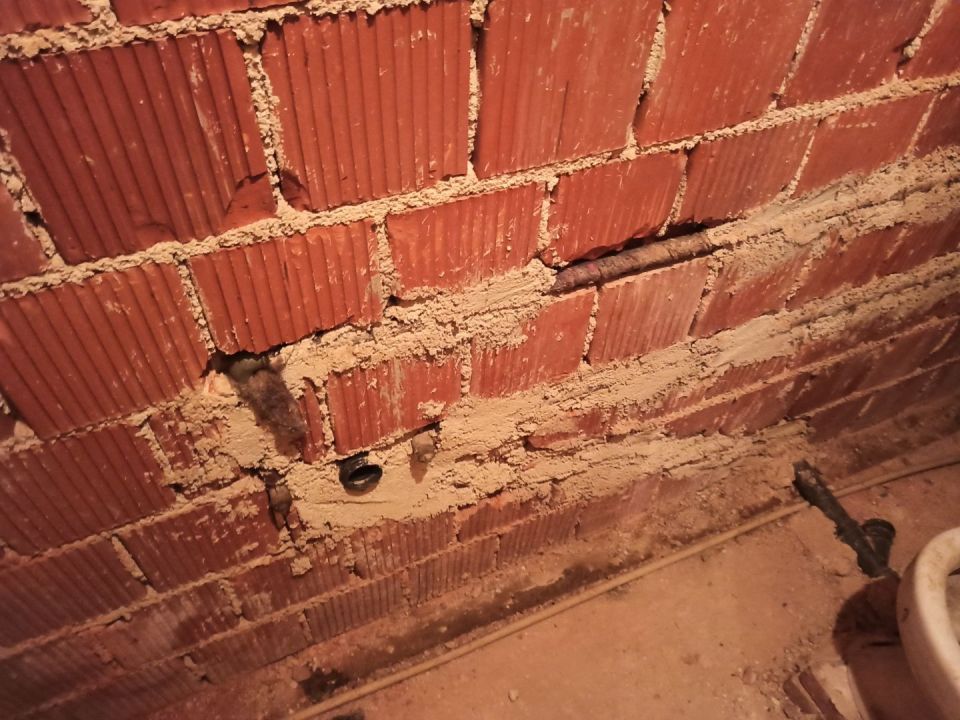 original_1604083044_img_20201030_105045.jpg