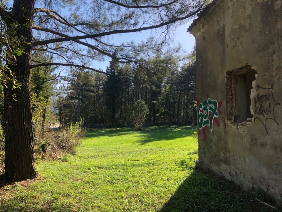 original_1743172606_img_0505.jpg